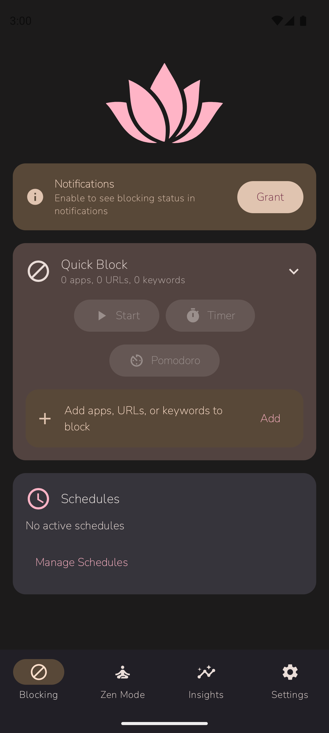 Ainoa main screen overview
